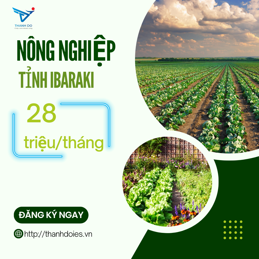 CÔNG TY XKLĐ THÀNH ĐÔ TUYỂN 03 NAM - ĐƠN HÀNG NÔNG NGHIỆP